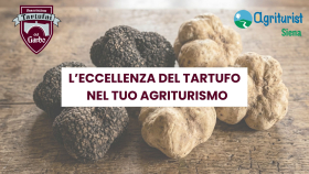 Novità per i tuoi ospiti: nasce una collaborazione tra Agriturist Siena e l’Associazione Tartufai del Garbo!
