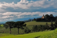 La Ripolina Buonconvento